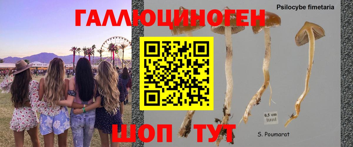 Псилоцибиновые грибы Psilocybine cubensis  Вход с VPN  Южно-Сахалинск  Псилоцибиновые грибы ЛСД 