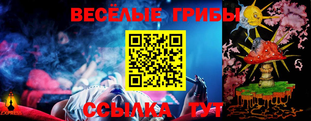 Псилоцибиновые грибы мицелий Южно-Сахалинск